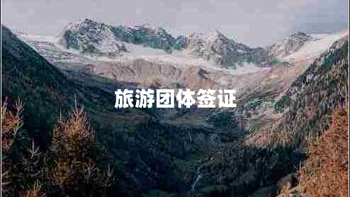 旅游團體簽證