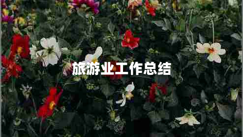 旅游業(yè)工作總結(jié)