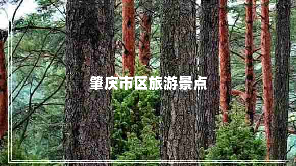 肇慶市區(qū)旅游景點