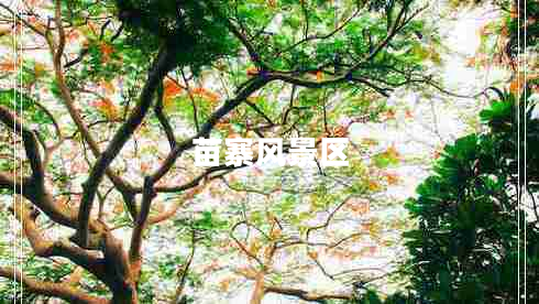苗寨風(fēng)景區