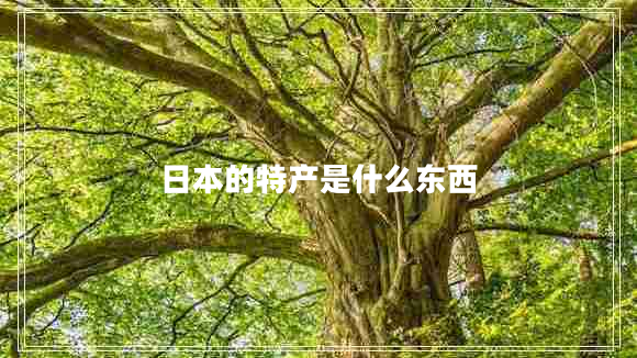 日本的特產(chǎn)是什么東西