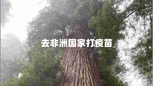 去非洲國家打疫苗