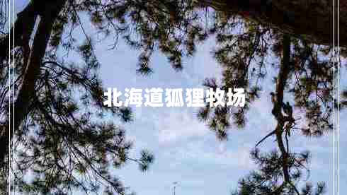 北海道狐貍牧場(chǎng)