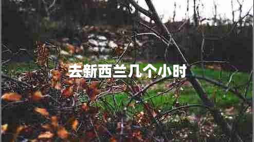 去新西蘭幾個小時