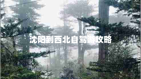 沈陽(yáng)到西北自駕游攻略