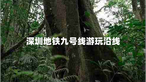 深圳地鐵九號線(xiàn)游玩沿線(xiàn)