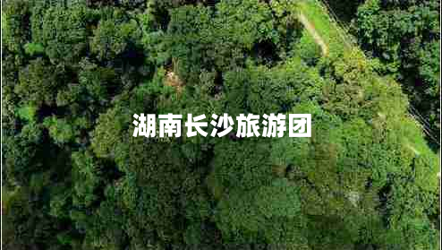 湖南長(cháng)沙旅游團