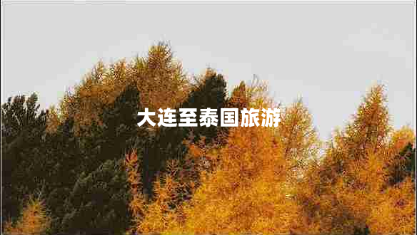 大連至泰國(guó)旅游