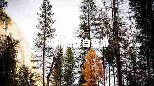 郴州旅游自駕游