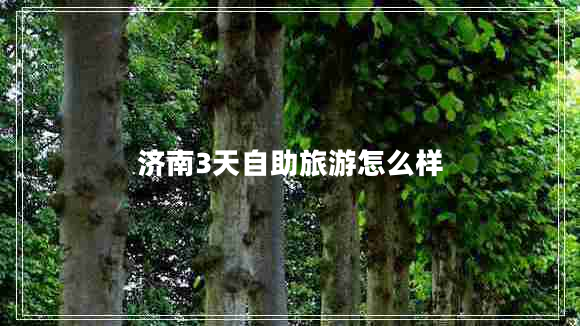 濟(jì)南3天自助旅游怎么樣