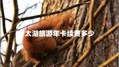 太湖旅游年卡續(xù)費多少
