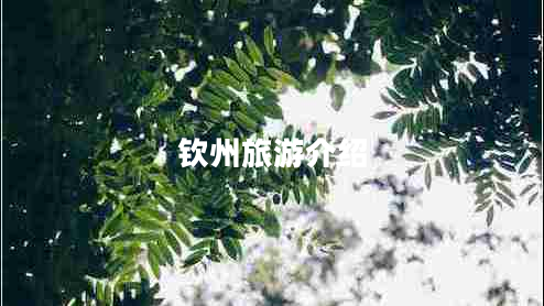 欽州旅游介紹