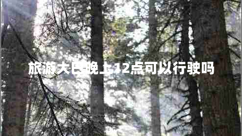 旅游大巴晚上12點(diǎn)可以行駛嗎