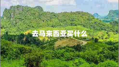 去馬來(lái)西亞買什么