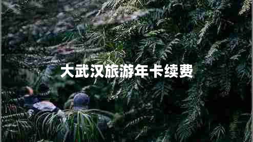 大武漢旅游年卡續(xù)費(fèi)