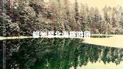柳州至北海旅游團