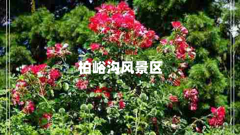 柏峪溝風景區(qū)