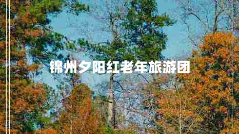 錦州夕陽(yáng)紅老年旅游團(tuán)