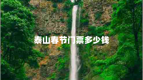 泰山春節(jié)門(mén)票多少錢(qián)