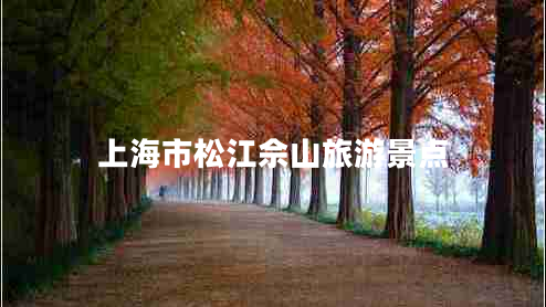 上海市松江佘山旅游景點
