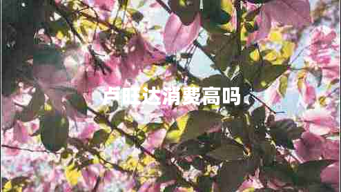盧旺達消費高嗎