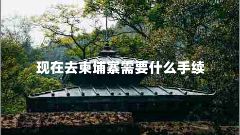現(xiàn)在去柬埔寨需要什么手續(xù)