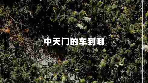 中天門(mén)的車(chē)到哪