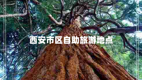 西安市區自助旅游地點(diǎn)