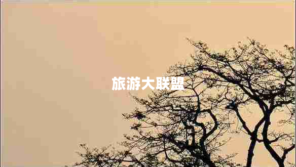 旅游大聯(lián)盟
