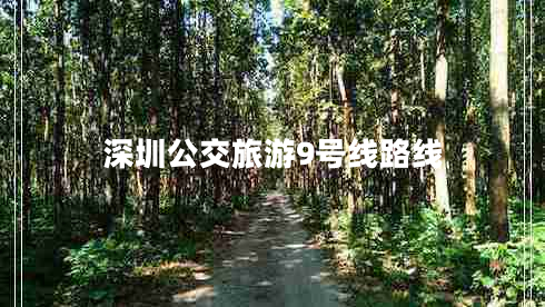深圳公交旅游9號線(xiàn)路線(xiàn)