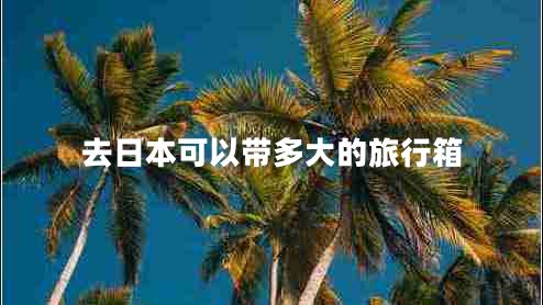 去日本可以帶多大的旅行箱