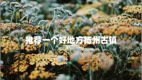 推薦一個(gè)好地方揚州古鎮
