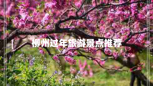 柳州過(guò)年旅游景點(diǎn)推薦
