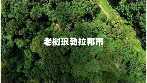 老撾瑯勃拉邦市