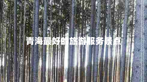 青海最好的旅游服務(wù)景點(diǎn)
