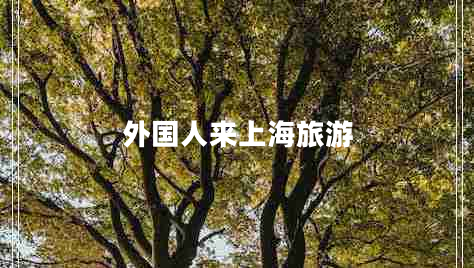 外國人來(lái)上海旅游