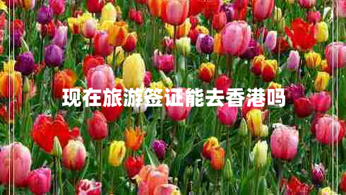 現在旅游簽證能去香港嗎