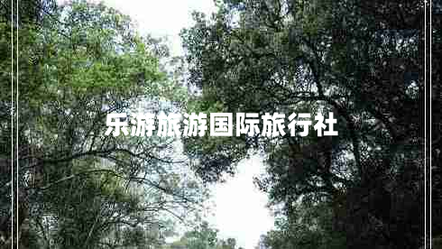 樂游旅游國際旅行社