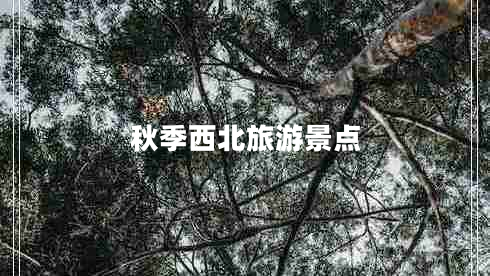 秋季西北旅游景點
