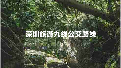 深圳旅游九線(xiàn)公交路線(xiàn)