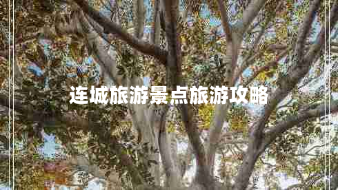 連城旅游景點(diǎn)旅游攻略