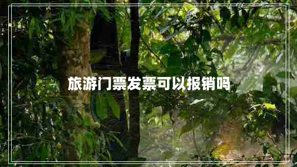 旅游門(mén)票發(fā)票可以報銷(xiāo)嗎