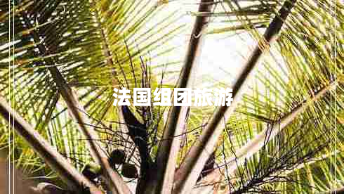 法國組團(tuán)旅游