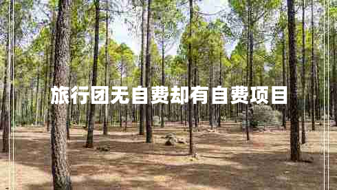 旅行團(tuán)無自費(fèi)卻有自費(fèi)項(xiàng)目