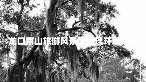 龍口南山旅游風(fēng)景區地理環(huán)境描述