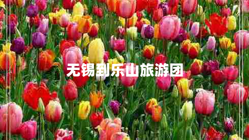 無(wú)錫到樂(lè )山旅游團