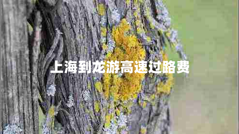 上海到龍游高速過(guò)路費