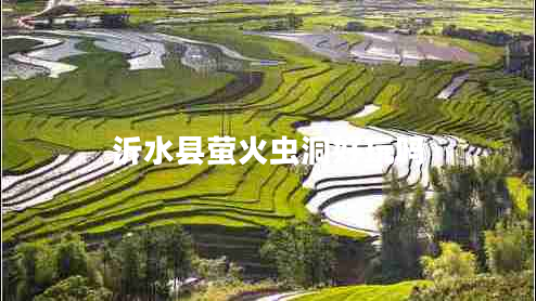 沂水縣螢火蟲(chóng)洞好玩嗎
