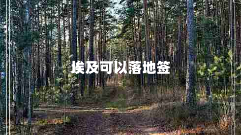 埃及可以落地簽 埃及可以落地簽