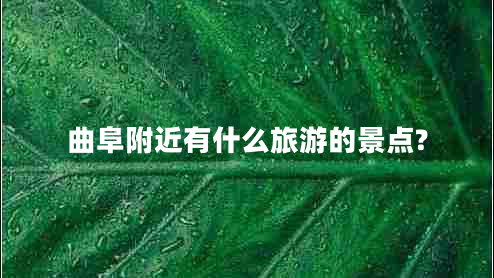 曲阜附近有什么旅游的景點?
